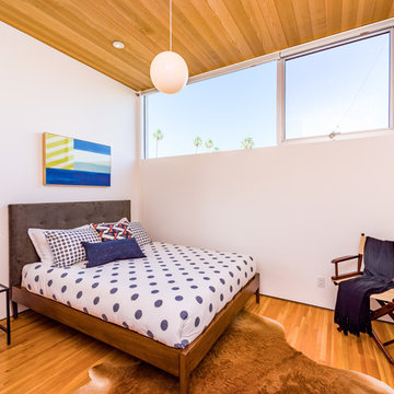 Modern Designer Home