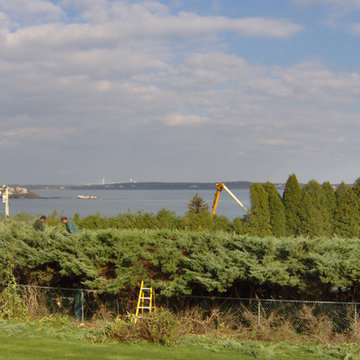 Vista Pruning