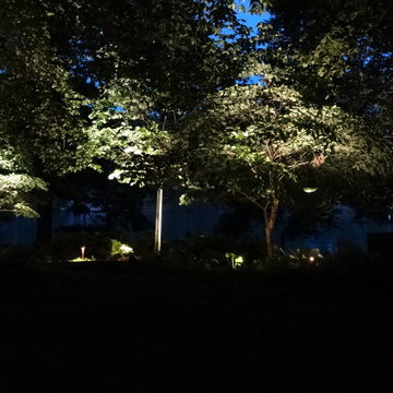 Trees