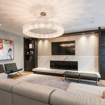Media Rooms / Home Theaters
