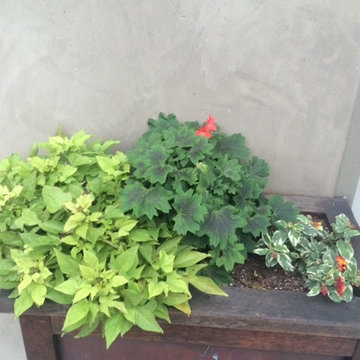 Containers