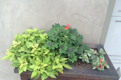 Containers