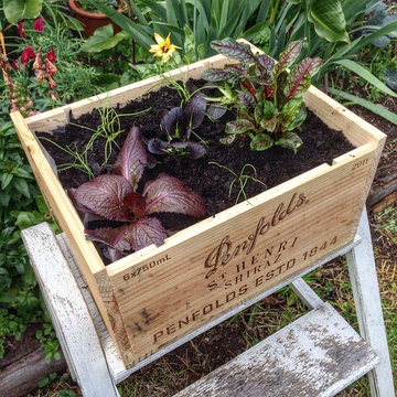Edible containers