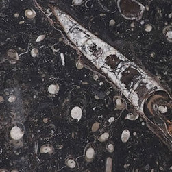 Fossil Brown Fossil Marron Italy - Products