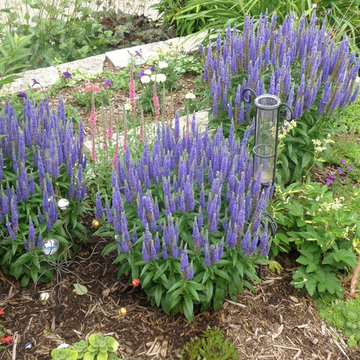Nursery and Garden Center
