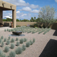 Backyard project