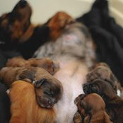 Marie Osborn Patterson's photo