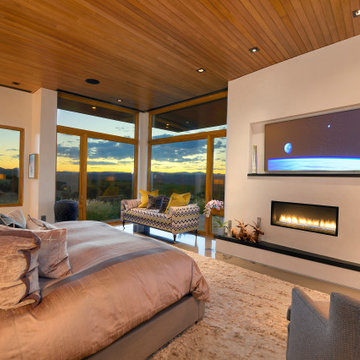 2020 Haciendas Parade of Homes Winner- Mid Century Modern