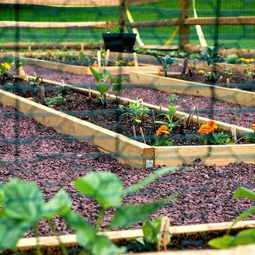 The Learning Garden at Roberts Elementary School