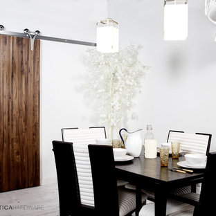Modern Barn Doors Houzz