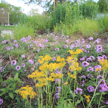 Native Plant Landscaping, Hardscaping, and Bioswales