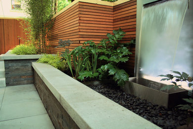 Design ideas for a modern garden in Vancouver.