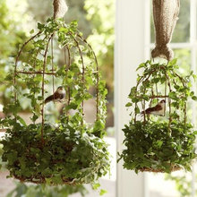 Decorated ideas