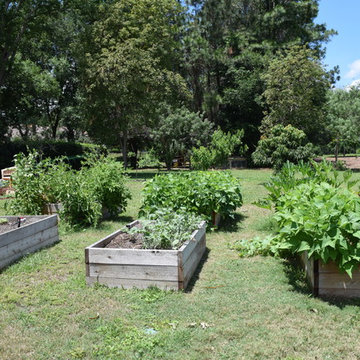 Nancy's Pomegranate Manor