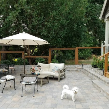 Dog Friendly Landscape