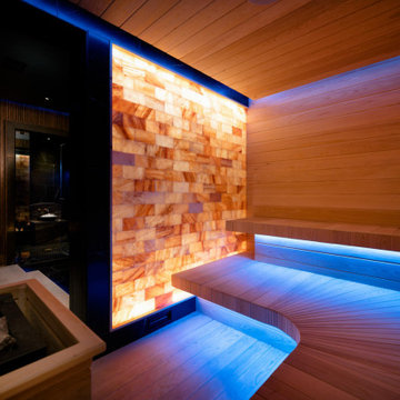 Sandy Spring Terrace Level & Salt Spa