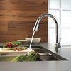 Delta 9113-DST Essa Single Handle Pull-Down Kitchen Faucet, Chrome
