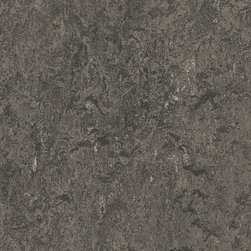 Forbo - Forbo Marmoleum Composition Sheet, Graphite - CP-3048 - Flooring