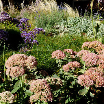 Naturalistic Transformation