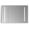 Catola 48" Clear Glass Surface-Mount/Recessed LED Mirror Medicine Cabinet