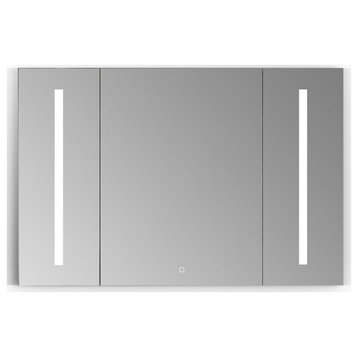 Catola 48" Clear Glass Surface-Mount/Recessed LED Mirror Medicine Cabinet