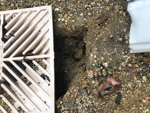 Decomposed Granite And Downspouts