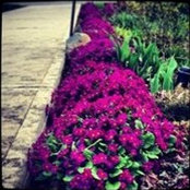 Julia Wray-mcinnes's photo