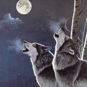 Lori Pope's photo
