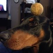 Lee Barron's photo