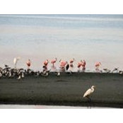 Patricia Richards's photo