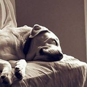 Lisa Gallagher's photo