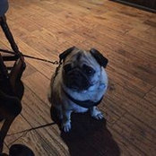 Alison Leake's photo
