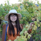 Lina Wang's photo