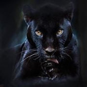 Lynne Mattox's photo
