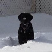 Kathy Andersen's photo