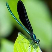 Betty Grimone's photo