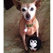 Erica Cross's photo