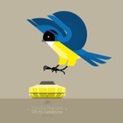 tay allan's photo