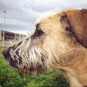 Heather Hoffman's photo