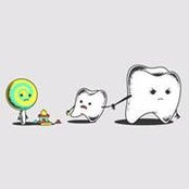 Rachel Flinn's photo