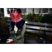 Alyson Yu's photo