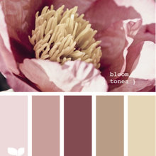 Bloom tones