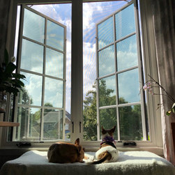 Casement Windows - Windows