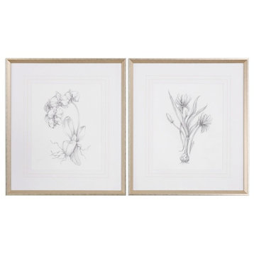 Botanical Sketches Framed Prints, Set of 2, Natural