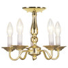 Williamsburgh Convertible Chain Hang/Ceiling Mount, Polished Brass