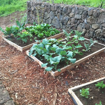 just some simple organic garden beds