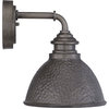 Englewood 1-Light Small Wall Lantern, Antique Pewter