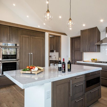 Aspen, Colorado Rustic Modern Home-Cobalt White Oak