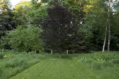 ボストンにある広いトラディショナルスタイルのおしゃれな庭の写真