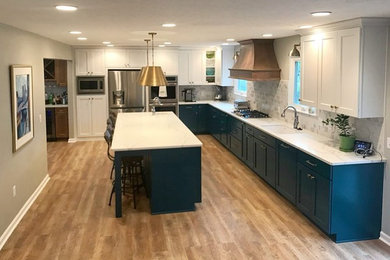 Transitional home design photo in Indianapolis